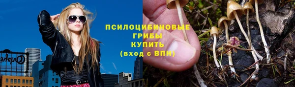 спайс Алзамай