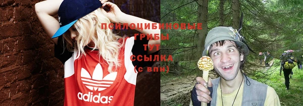 мдпв Алексин