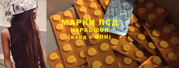 спайс Алзамай