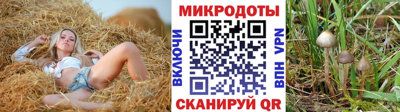 Псилоцибиновые грибы MAGIC MUSHROOMS  Артёмовский 